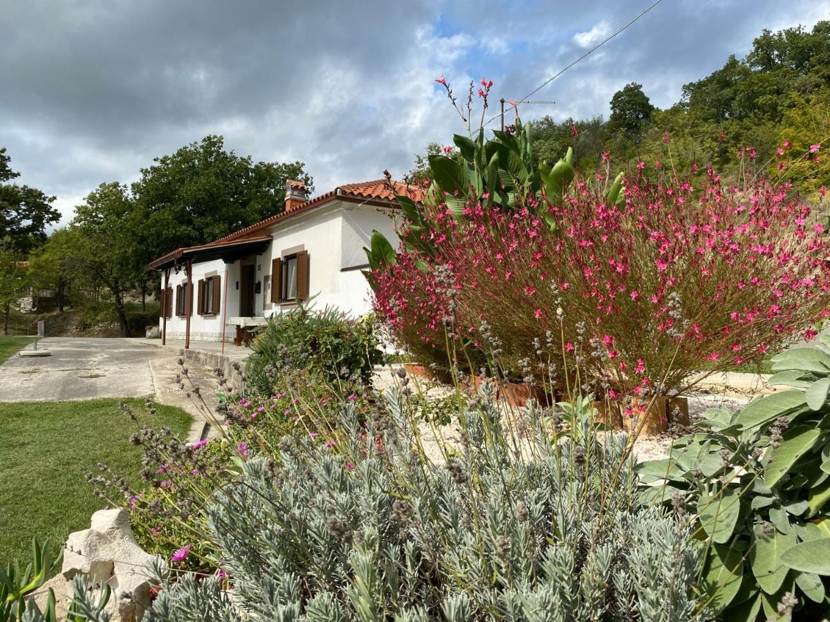Istrian House In The Heart Of Tupljak - Smilovic Potpićan Zewnętrze zdjęcie